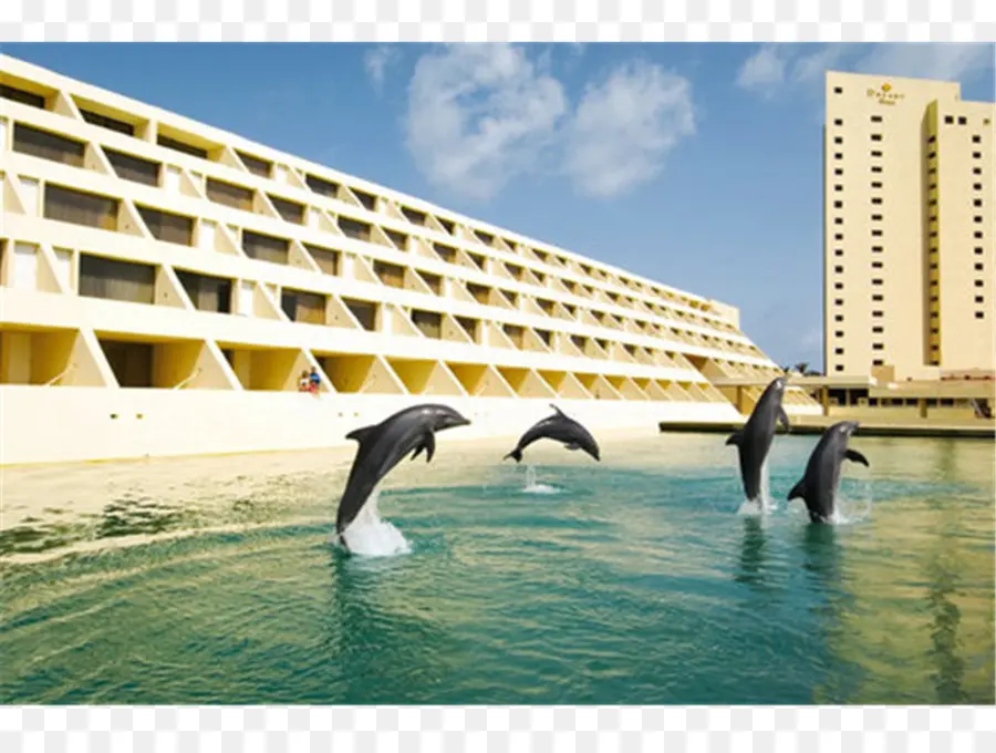 Dreams Sands Cancún Resort Spa，Hotel PNG