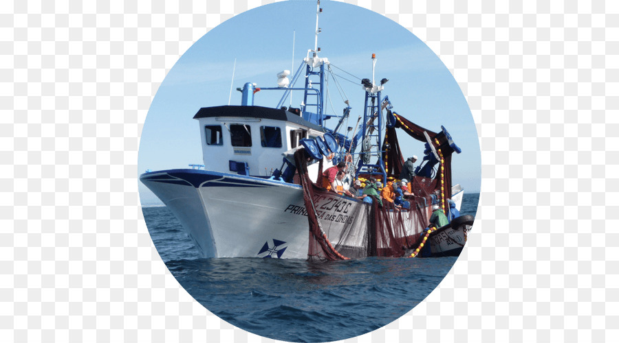 Arrastre De Pesca，Paseo En Barco PNG