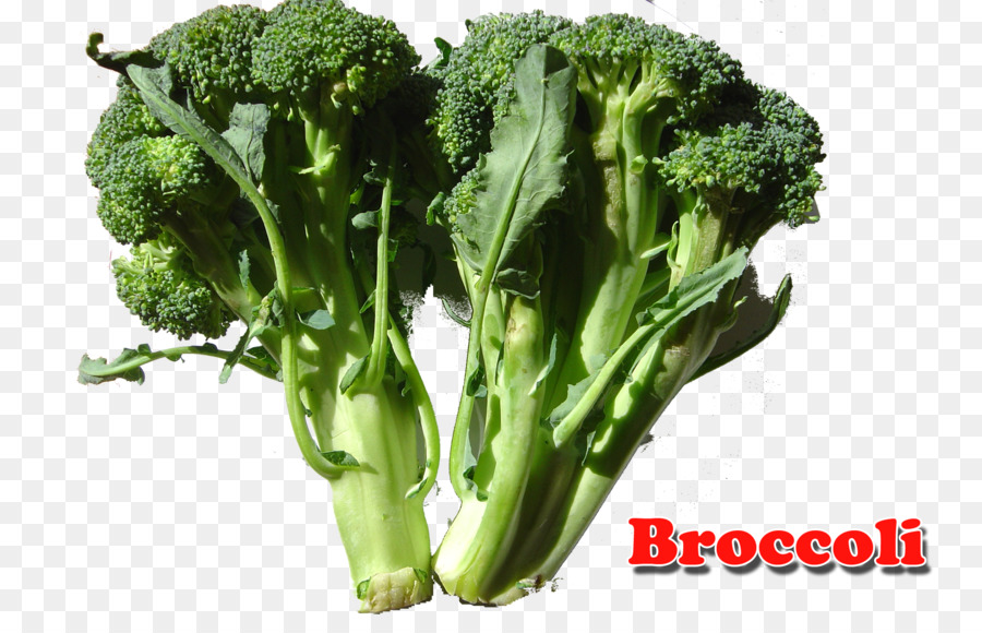 Brócoli，Los Productos Lácteos PNG