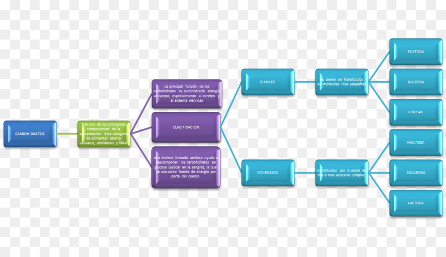 Mapa Conceptual，Concepto PNG