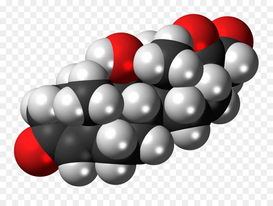 El Cortisol，La Hormona PNG