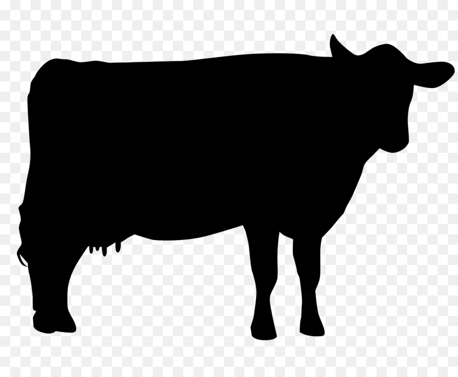 Ganado Holstein Friesian，El Ganado Jersey PNG