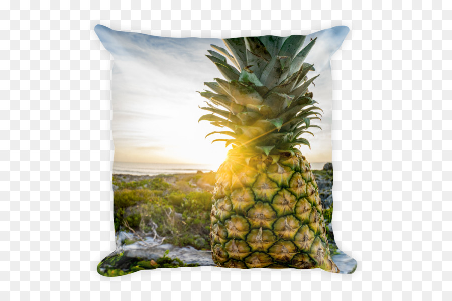 Piña，La Fruta PNG