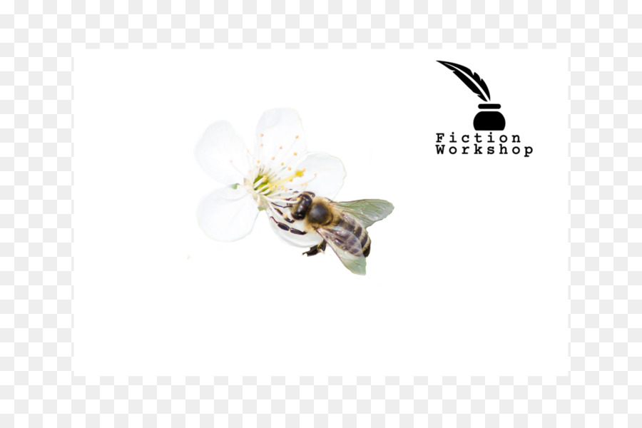 La Miel De Abeja，Abeja PNG