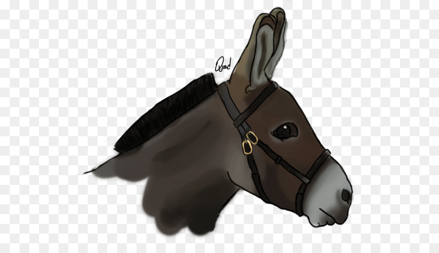 Burro，Cabeza PNG