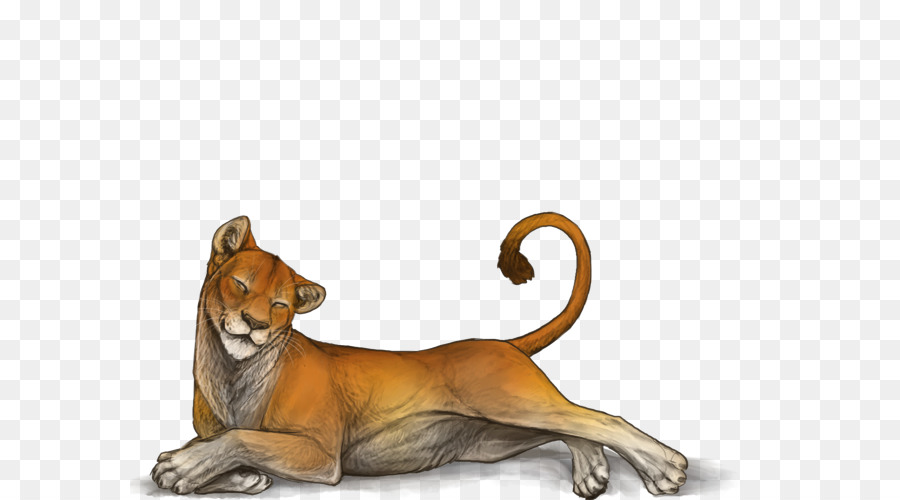 Cougar，Perro PNG