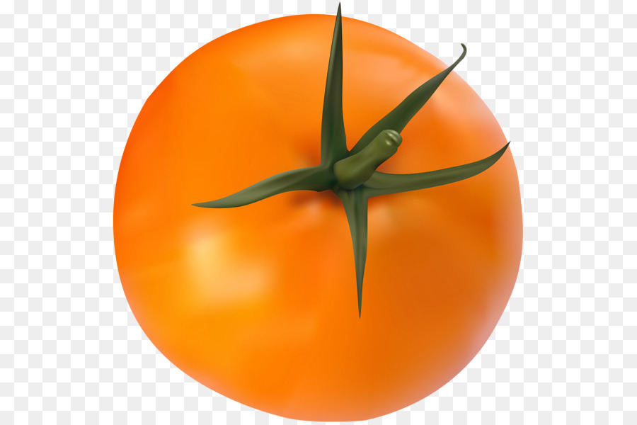 Tomate，Vegetal PNG