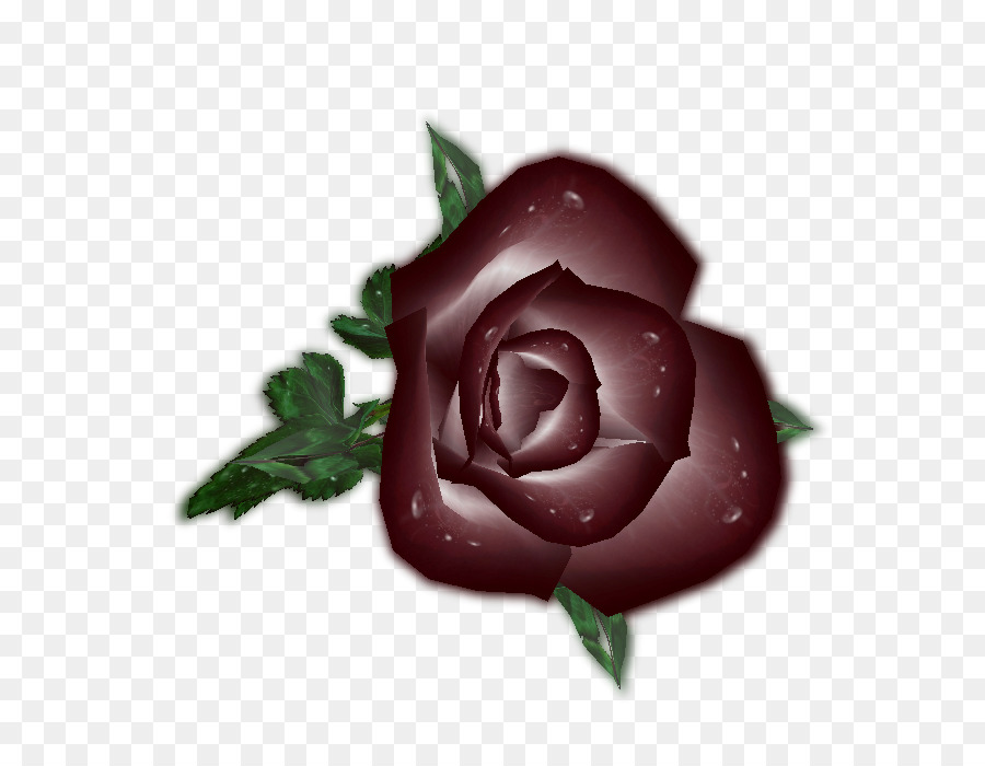 Rosa Morada，Florecer PNG