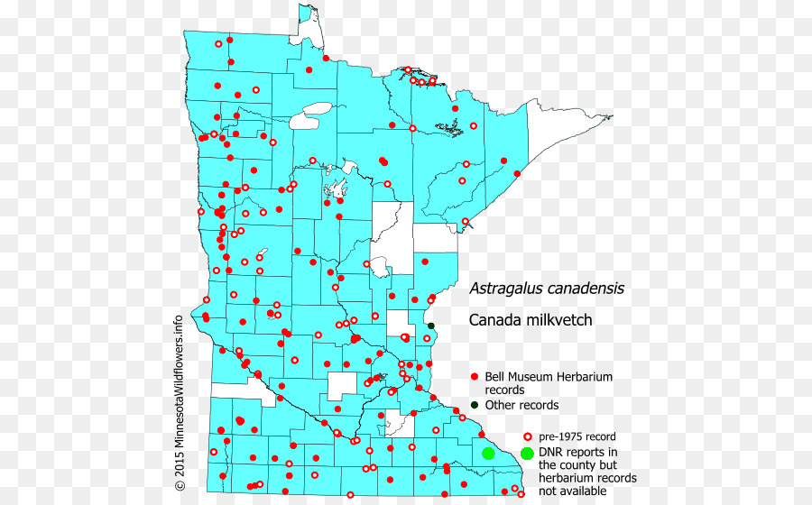 Minnesota，Hemlock PNG