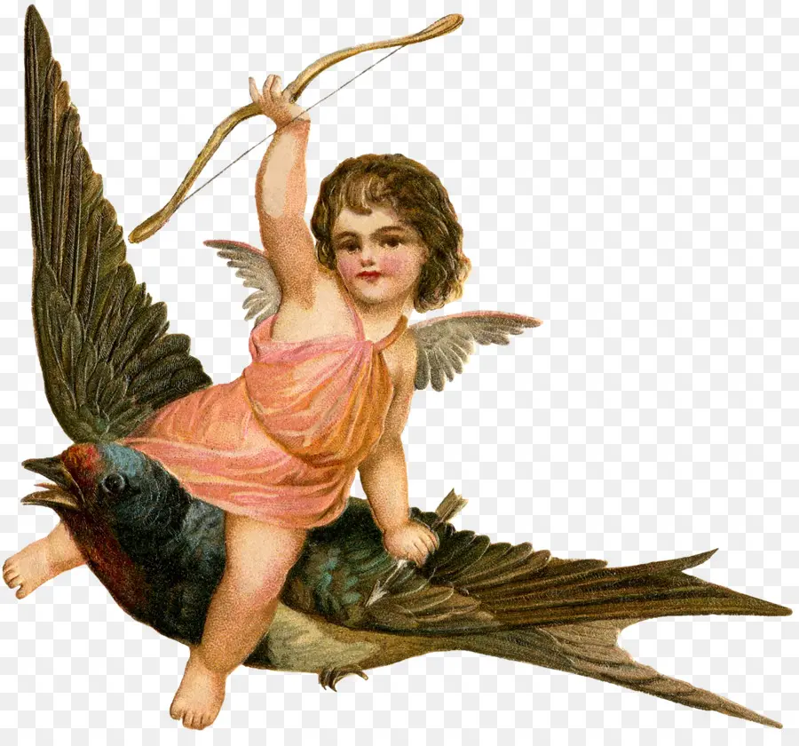 Cupido，Ángel PNG