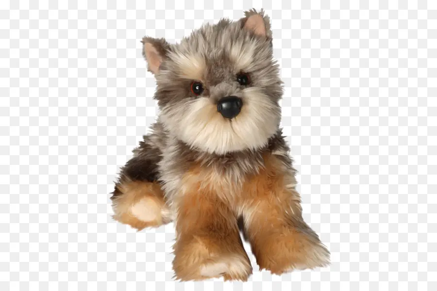 Yorkshire Terrier，Softcoated De Trigo Terrier PNG