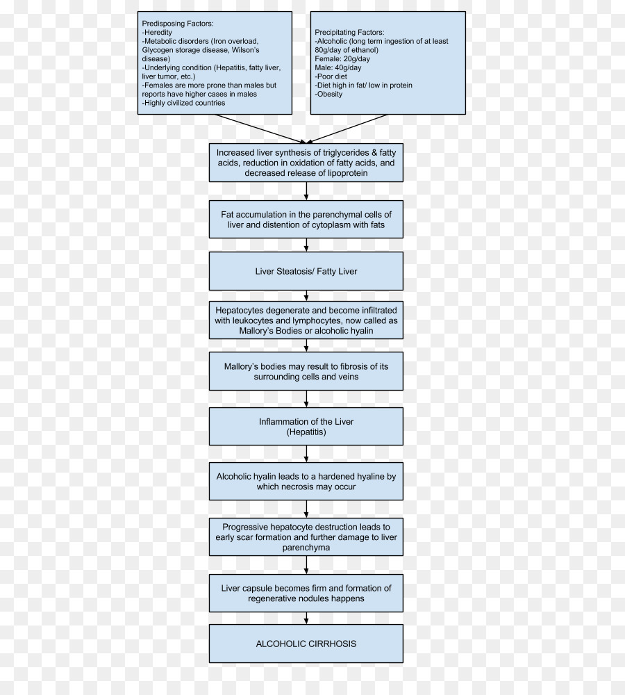 La Cirrosis，La Encefalopatía Hepática PNG