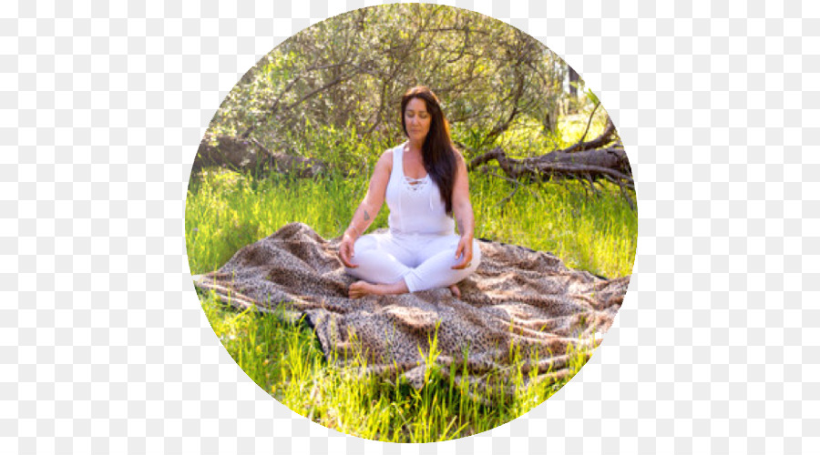 La Meditación，Reiki PNG