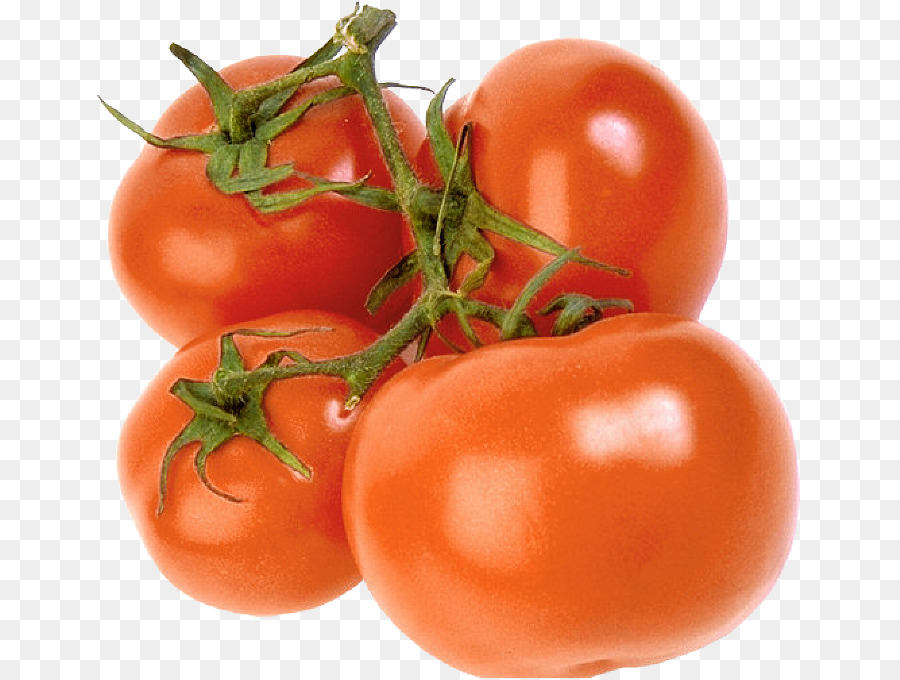 Tomate Ciruela，Bush Tomate PNG