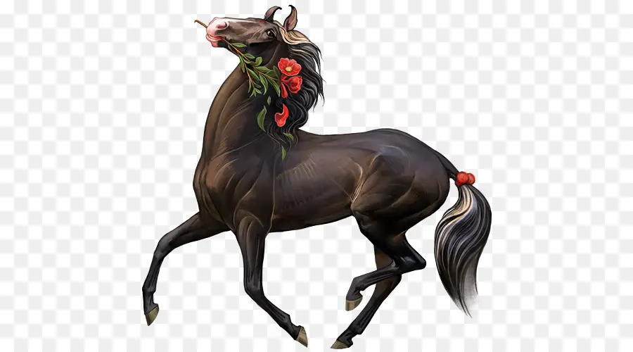 Marwari Caballo，Semental PNG