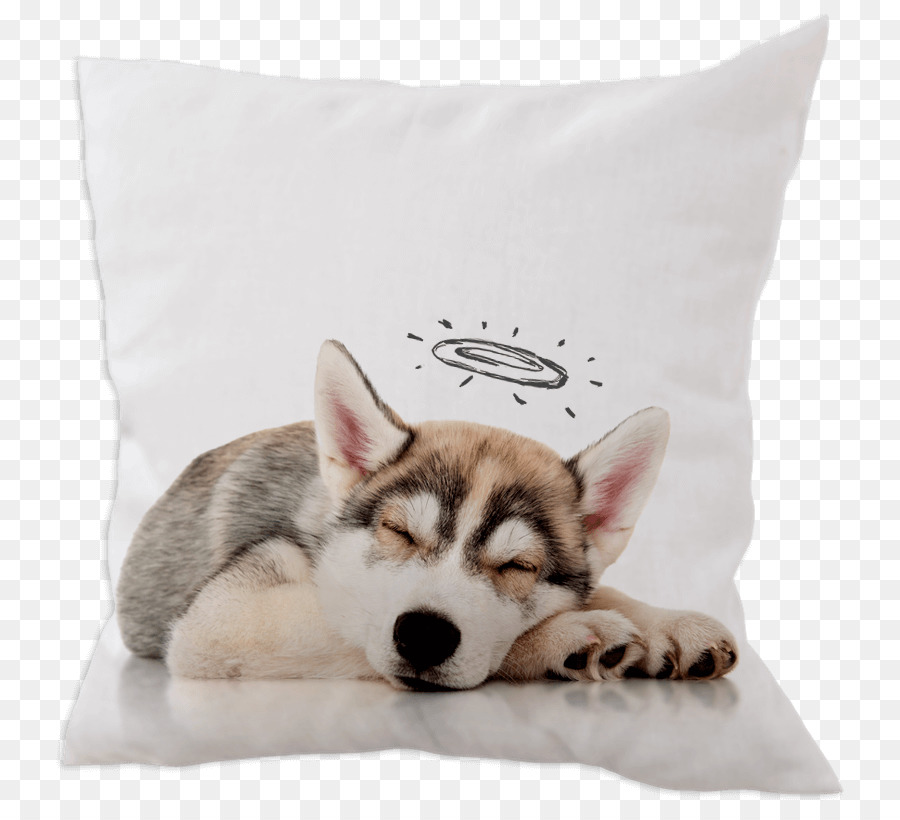 Husky Siberiano，Sakhalin Husky PNG