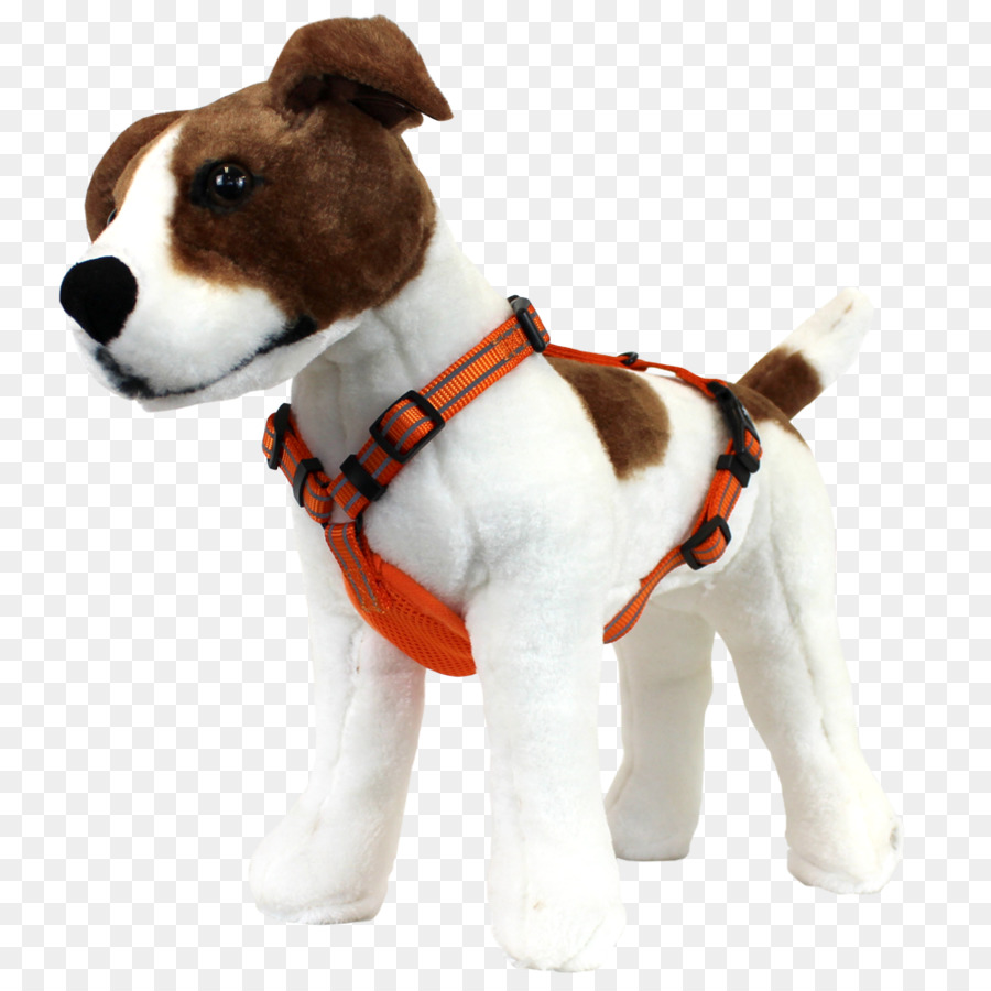 Jack Russell Terrier，Raza De Perro PNG