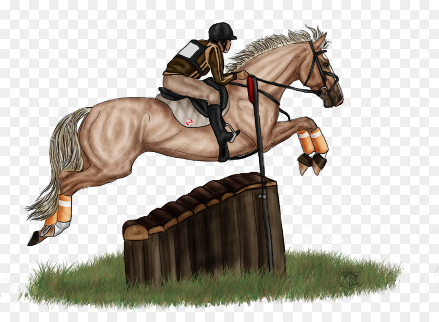 Asiento De Caza，Caballo PNG