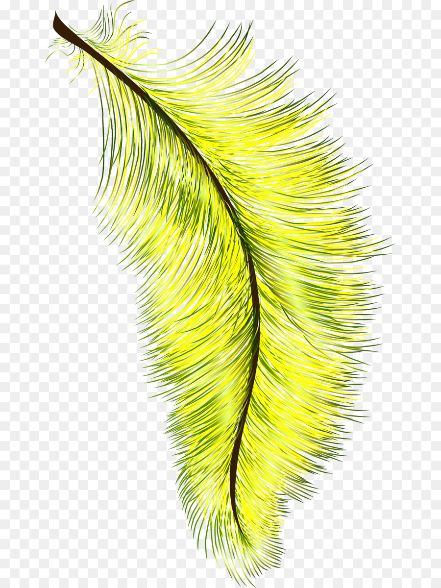 Pluma Amarilla，Amarillo PNG