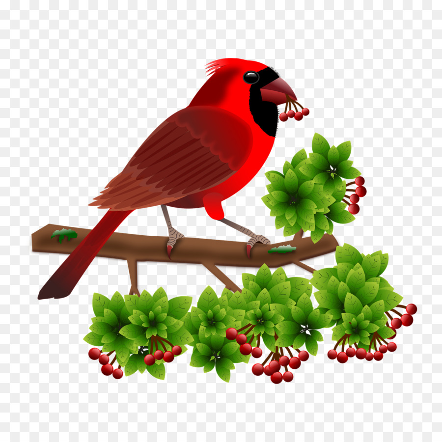 Pájaro，Android PNG
