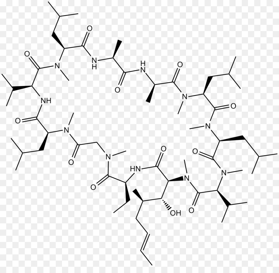 Ciclosporina，Ciclofilina PNG