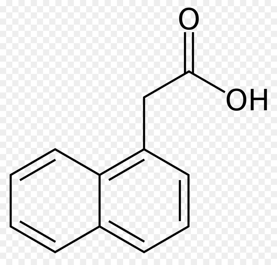 Estructura Química，Molécula PNG