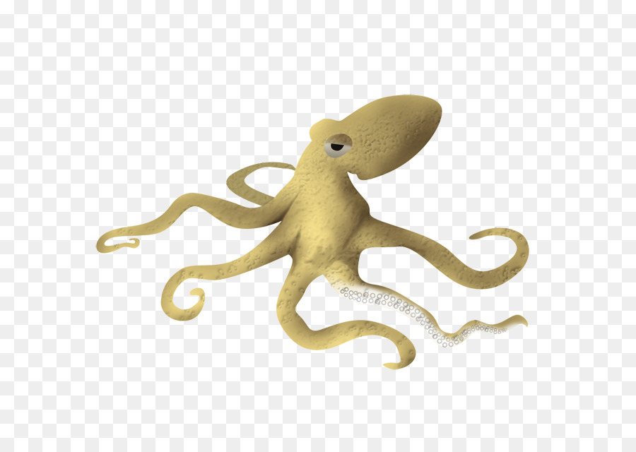 Pulpo Amarillo，Mar PNG