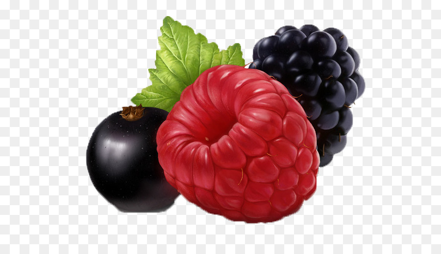 Berry，Uva PNG