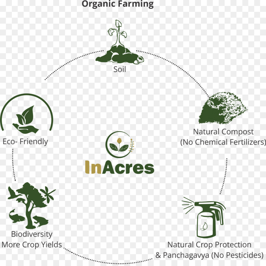 La Agricultura Orgánica，Alimentos Orgánicos PNG