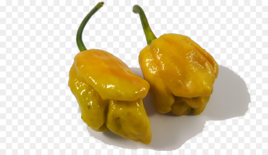 Habanero，Ají Picante PNG