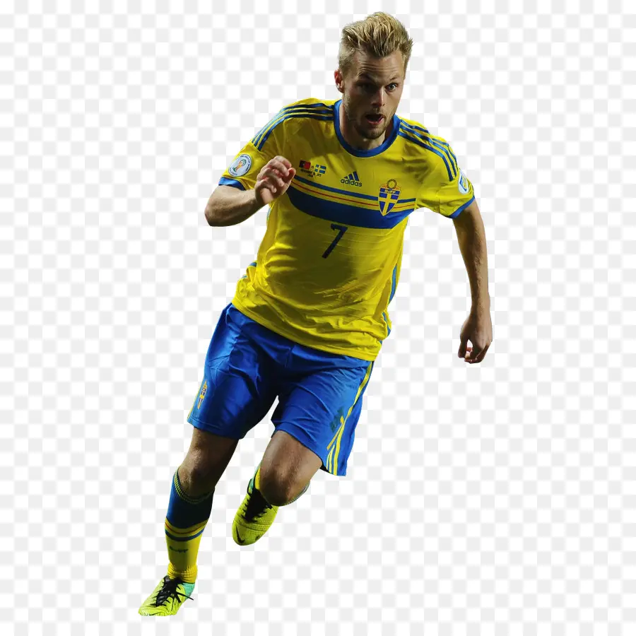 Sebastian Larsson，2014 Copa Mundial De La Fifa PNG