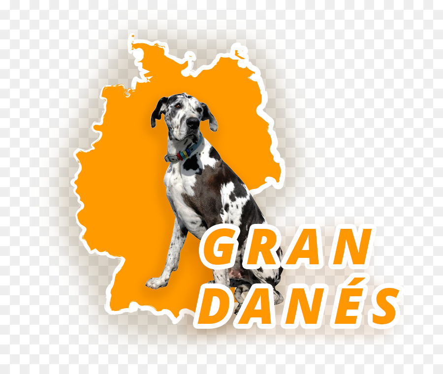 Raza De Perro，Gran Danés PNG