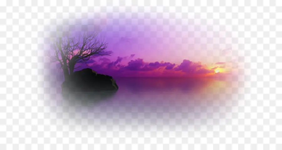 Atardecer，Árbol PNG