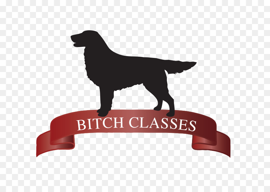 Labrador Retriever，Cachorro PNG