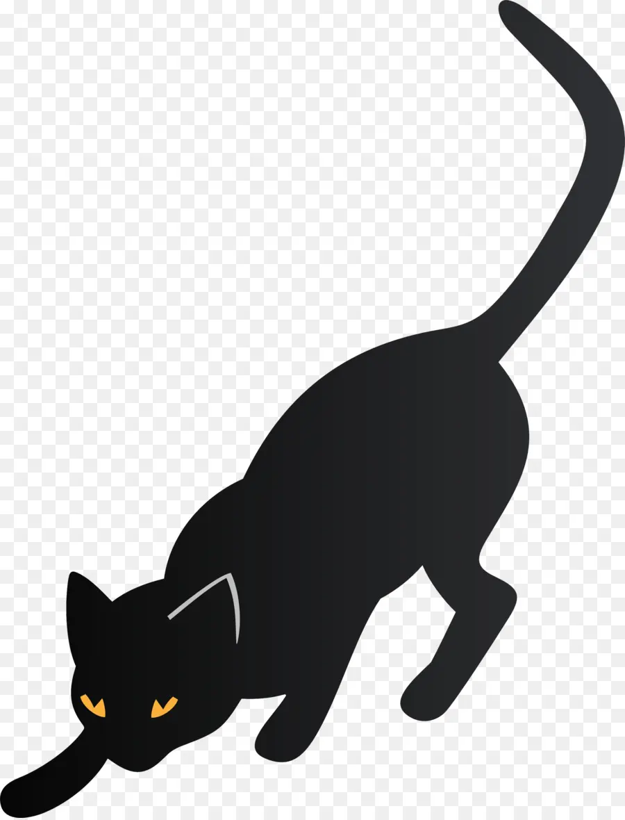 Gato，Gatito PNG