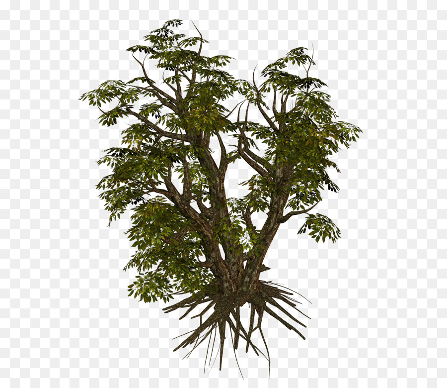 Búho En árbol，Pájaro PNG