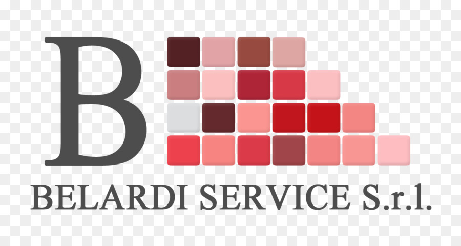 Belardi Service Srl，Benner Diseños De Base De Datos PNG