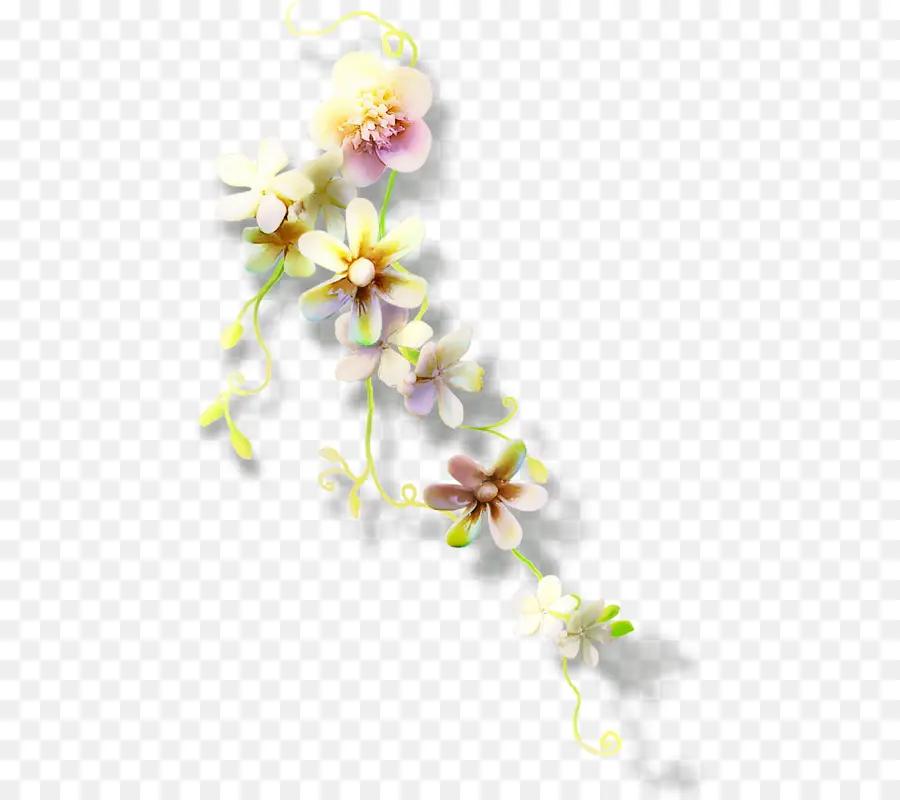 Flores，Florecer PNG