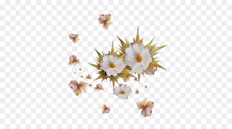 Flores，Florecer PNG