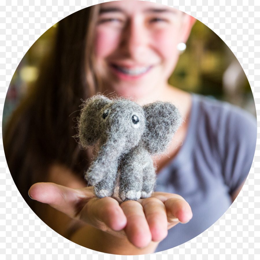 Koala，4h PNG