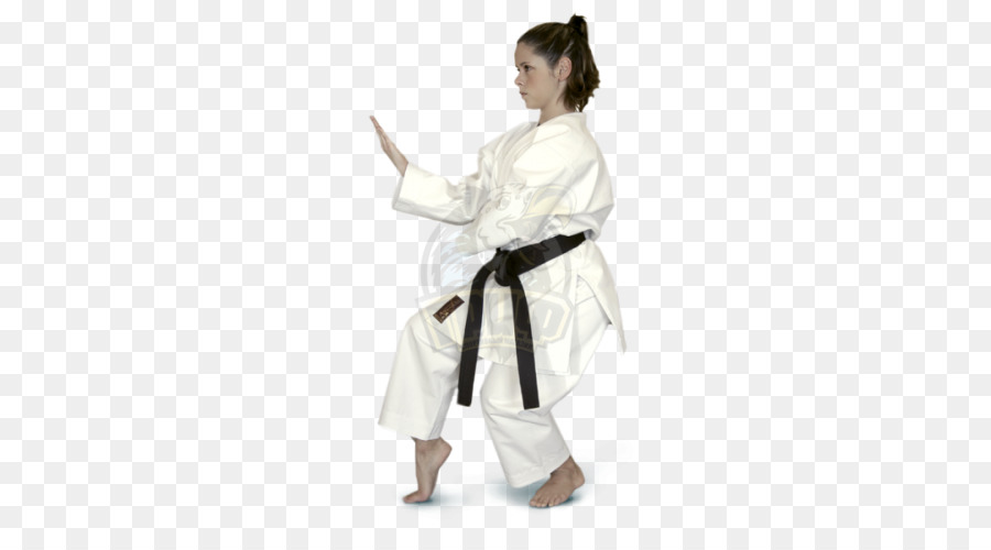 Karate，Dobok PNG