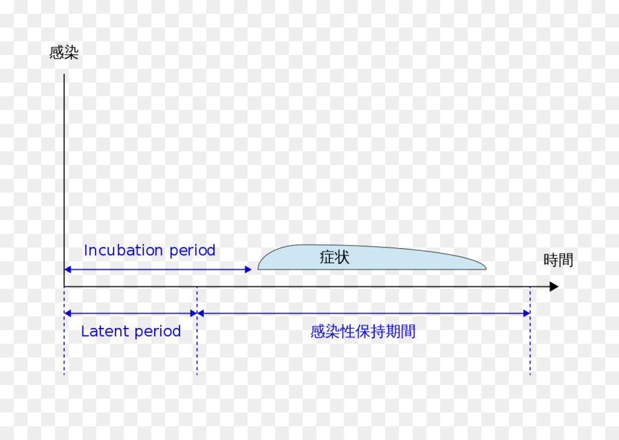 Periodo De Incubación，La Infección PNG