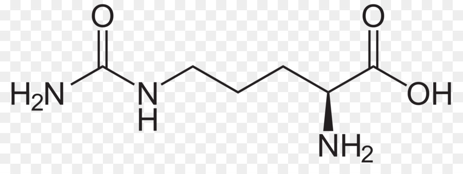 Estructura Química，Molécula PNG