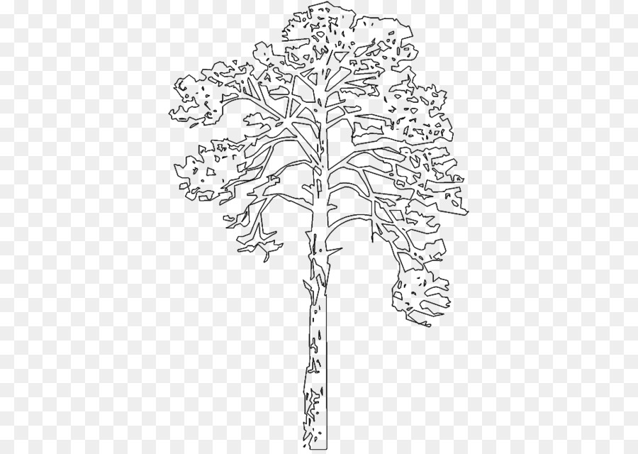 Contorno Del árbol，Árbol PNG