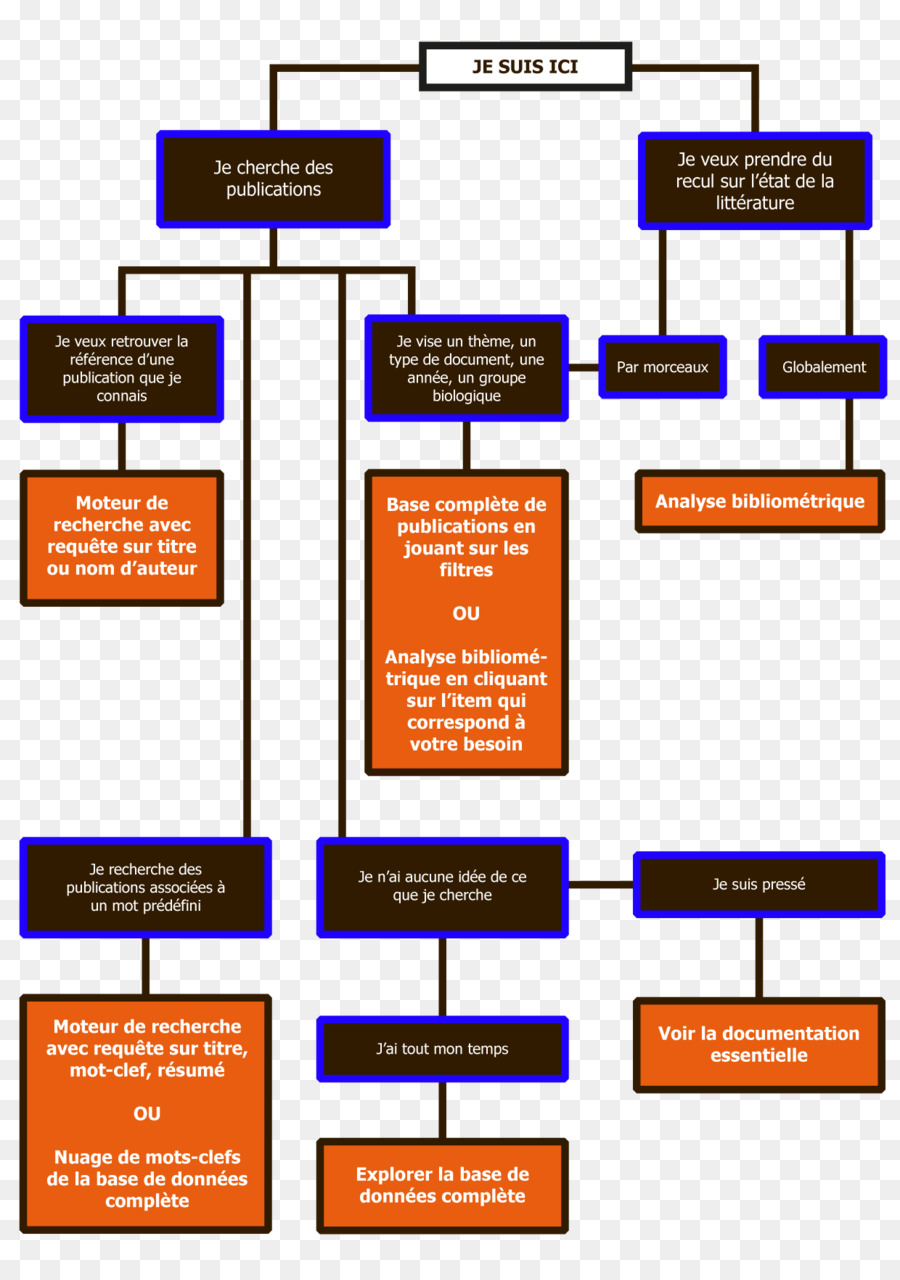 Organigrama，Estructura PNG