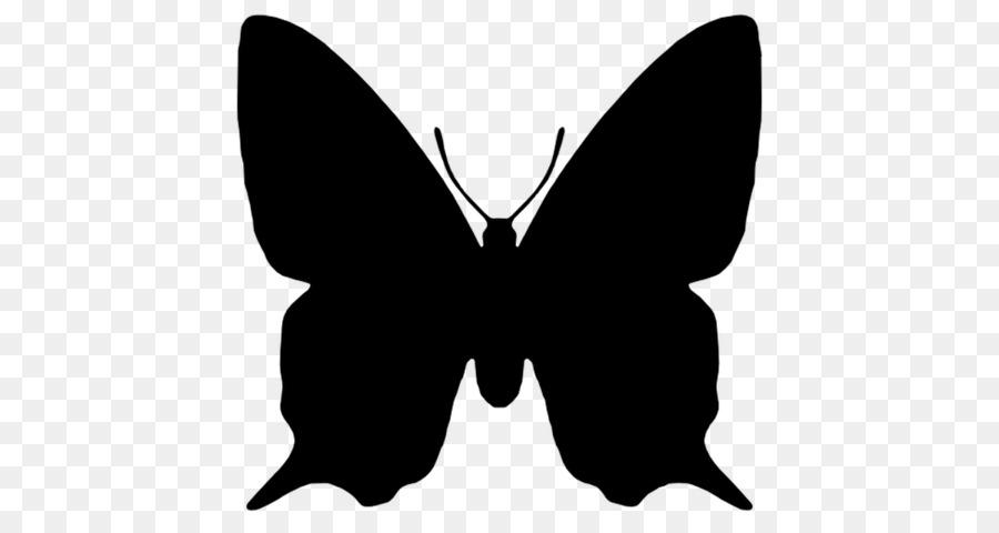 Mariposa，Silueta PNG