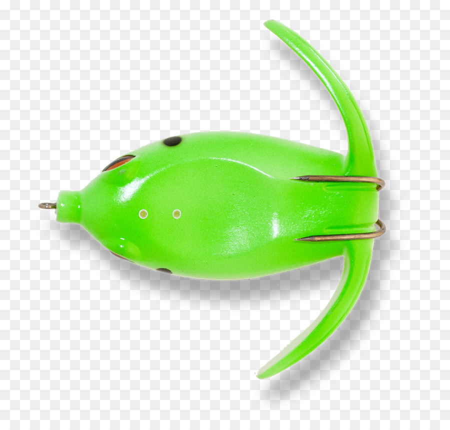 Anfibios，Verde PNG