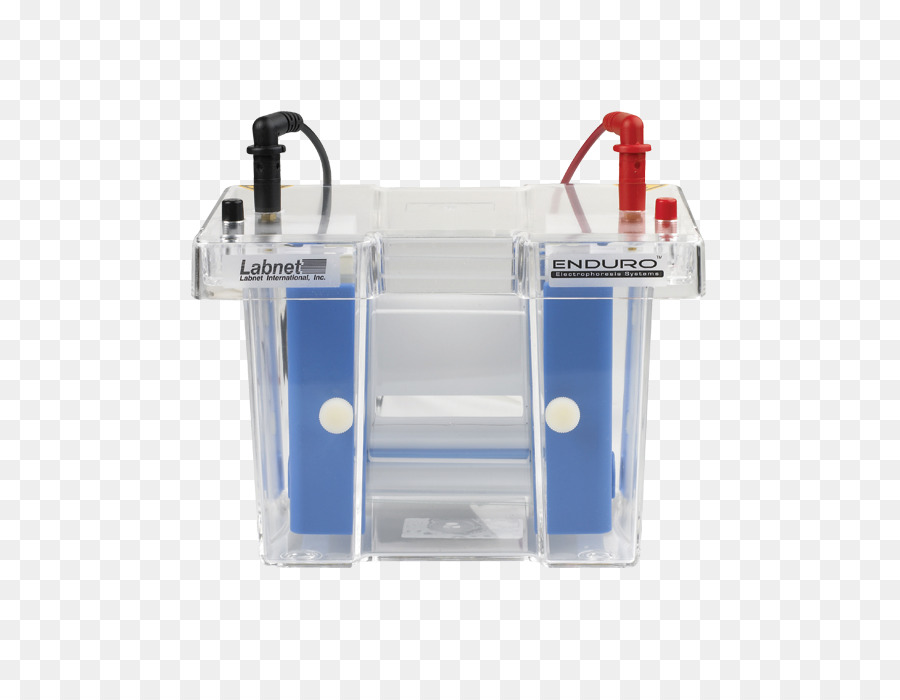 La Electroforesis，Electroforesis En Gel De PNG