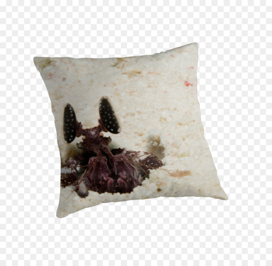 Almohadas，Cojín PNG