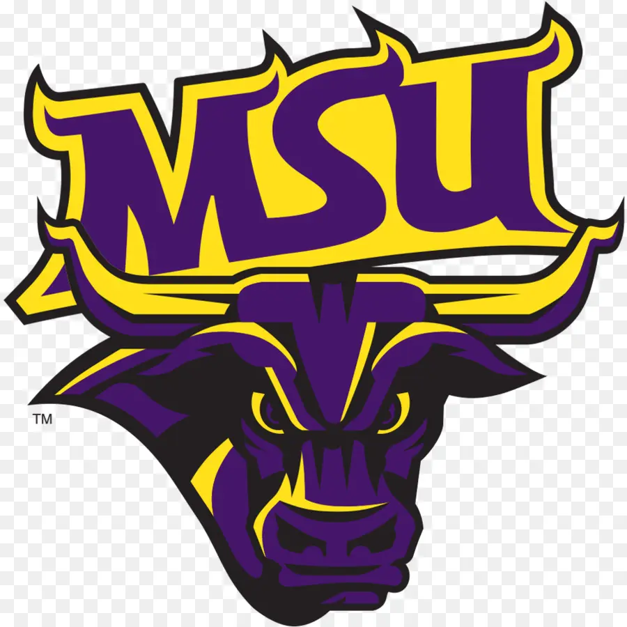 Mankato De La Universidad Estatal De Minnesota，Minnesota State Mavericks Football PNG